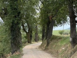Franziskanischer Weg der Marken - Etappe 6