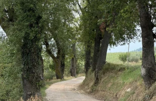 Cammino Francescano della Marca - tappa 6