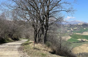 Il Cammino dei Cappuccini - Bike - Tappa 6