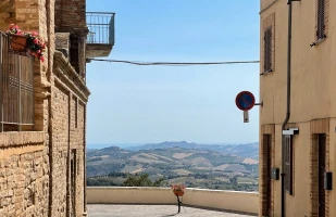 Da Montalto a Patrignone