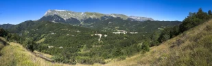 valdaso